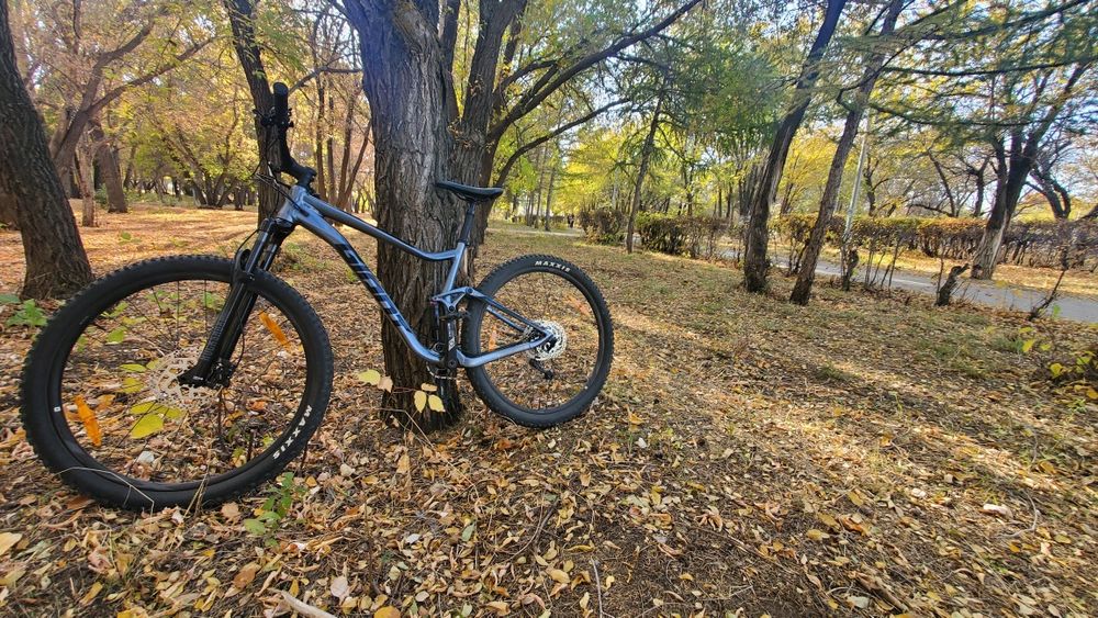 Двухподвес Giant stance 2 29  22года silver