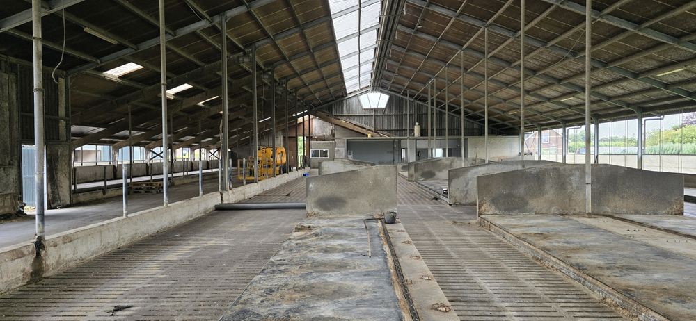 Hala metalica completa grajd vaci 55 /24