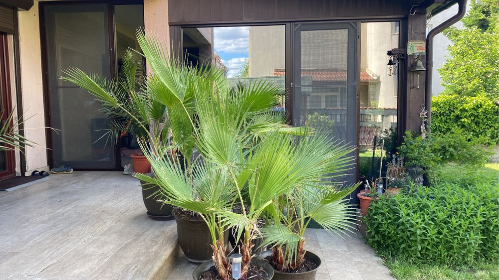 Vilă superbă Cartier Rezidential Ovidiu