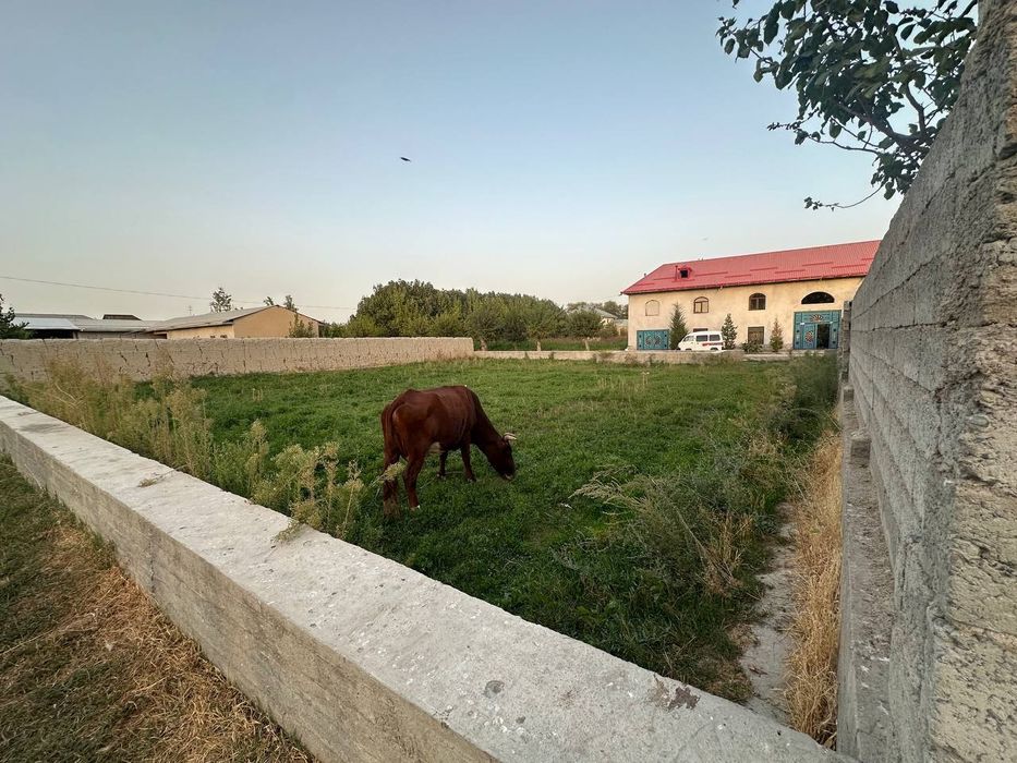 Йер сотилади 8 сутик, атрофи фундамент билан уралган Самарканд вилояти