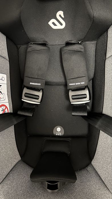 Scoica Auto Swandoo Albert i-Size