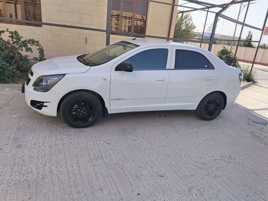 Yangi 2025 yil koblt midnayt sotiladi