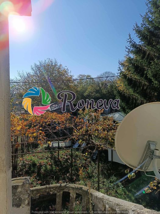 Голямо дворно място с къща и много сезонни постройки