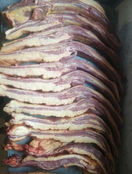 Соғым,мясо конины шымкенттік бағамен