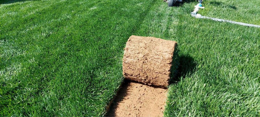 Рулонный Газон ландшафт Gazon газон