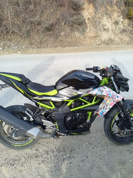 Kawasaki z 124 (2019)