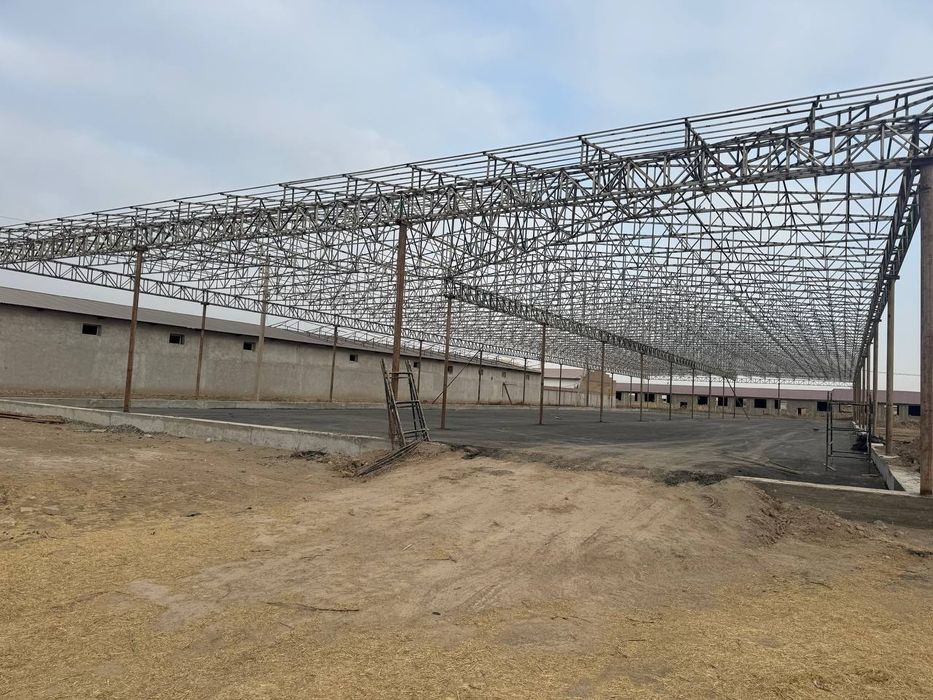 Tom Naves Molhona xizmati