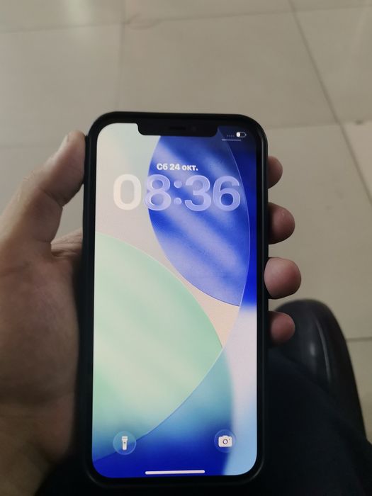 iPhone 12 pro max