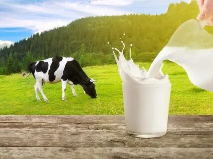 Сухое молоко Опт и розница