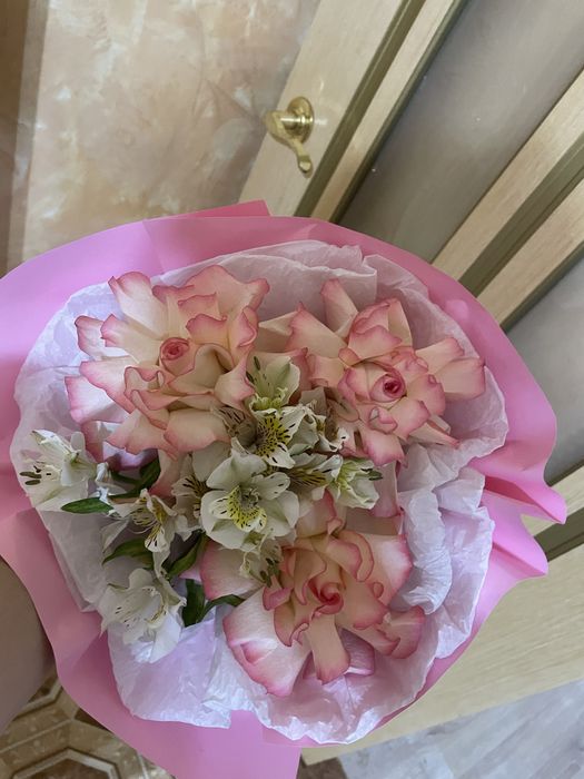 Мишка+француженка