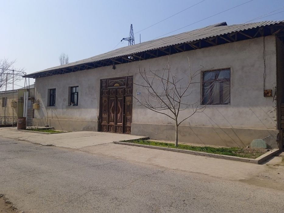 Срочна котта учскамиза сотуга чикти