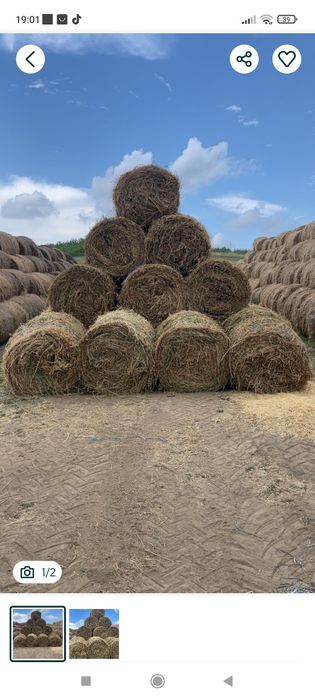 Baloți de lucernă de vânzare
