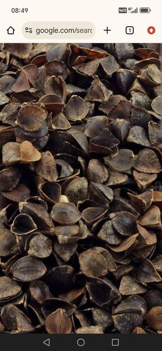 Продам доходы гречки