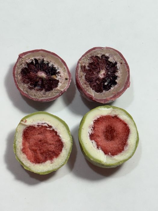 Клубника в бельгийском шоколаде ежевика shokoladli qulupnay