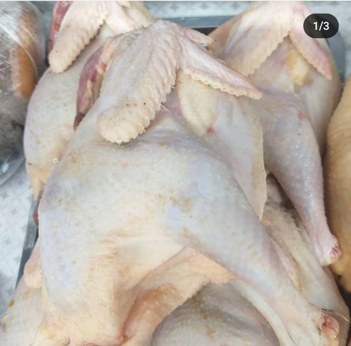 Мясо домашней птицы