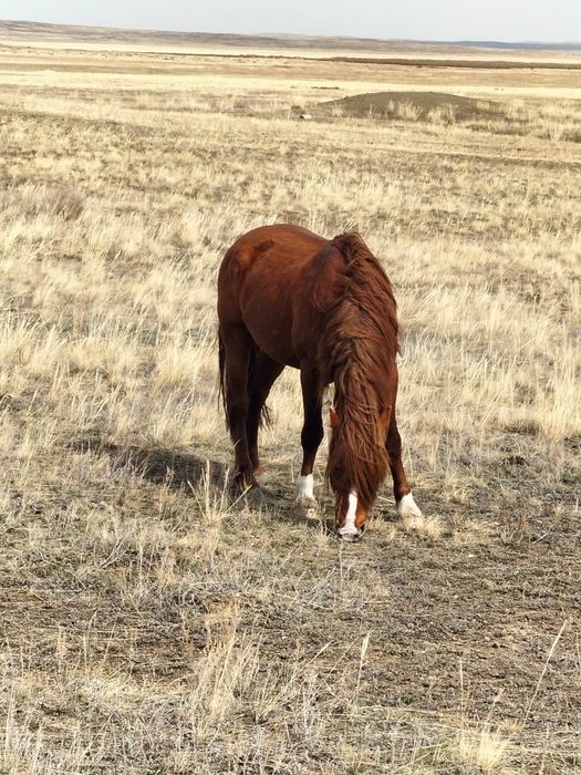 Ерлі-зайыптылардың үйдегі секс видеосы