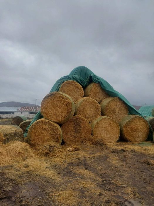Рулонни Бали Житна слама