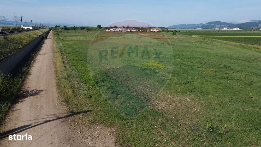 Teren 39,500mp Vintu de Jos