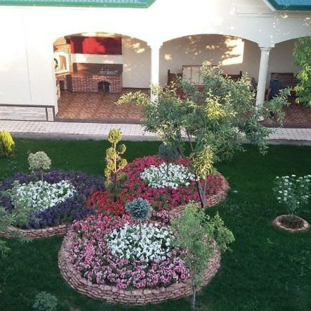 Газон рлонвый газон сймина егемыз