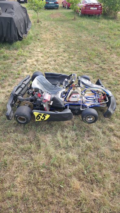 Картинг ROTAX senior