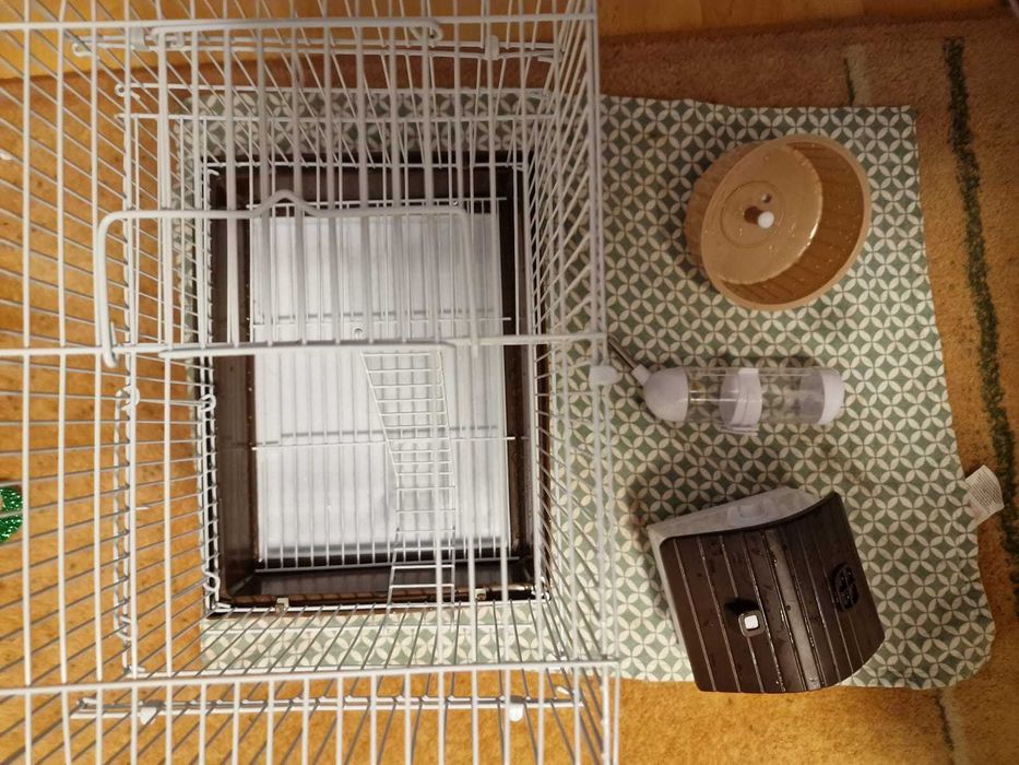 Cusca hamsteri cu casuta +  rotita +bol de mancare