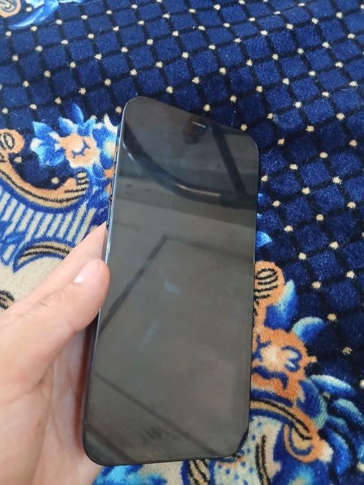 Iphone 12 pro max