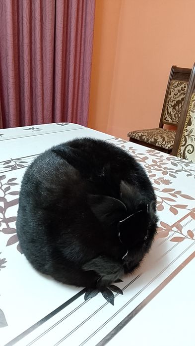 Женский норка шапка