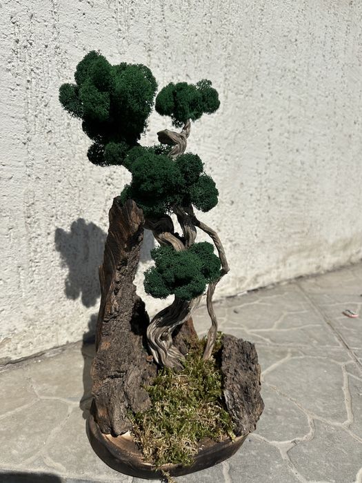 Продам искусственный бонсай