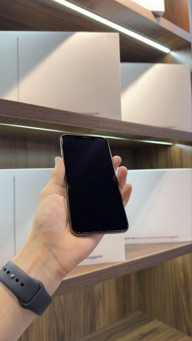 Xs max gold naxtka