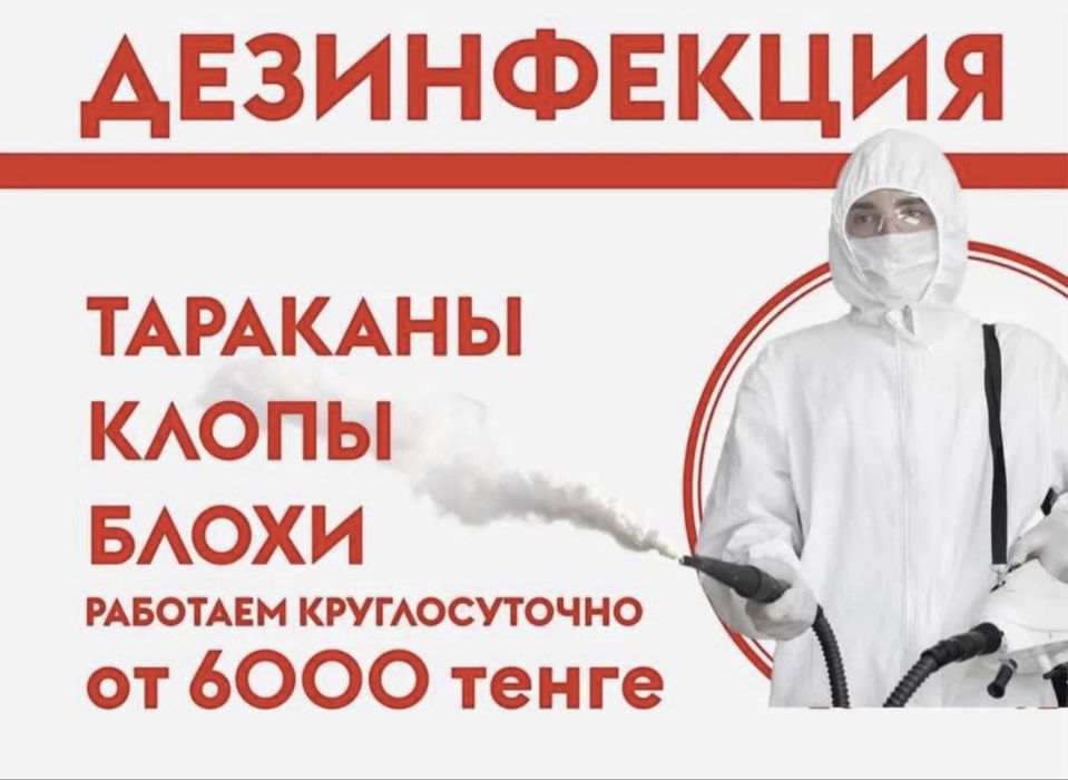 Дезинфекция клопов и тараканов гарантия есть