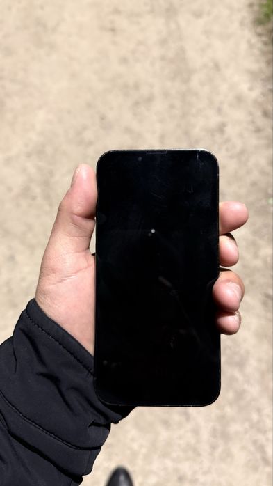 13 про 256 память идеальный