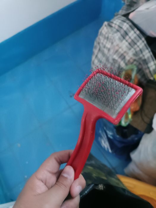 Чесалка для котов