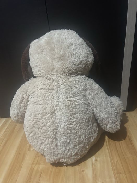 Urs mare plus ca nou