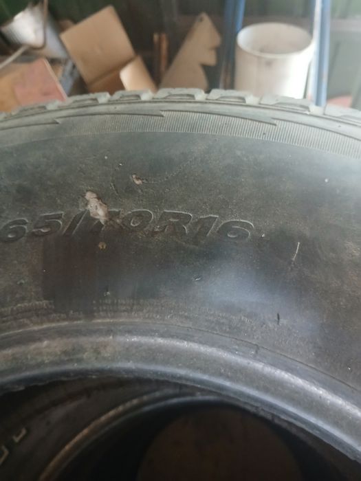 Авто шины продам