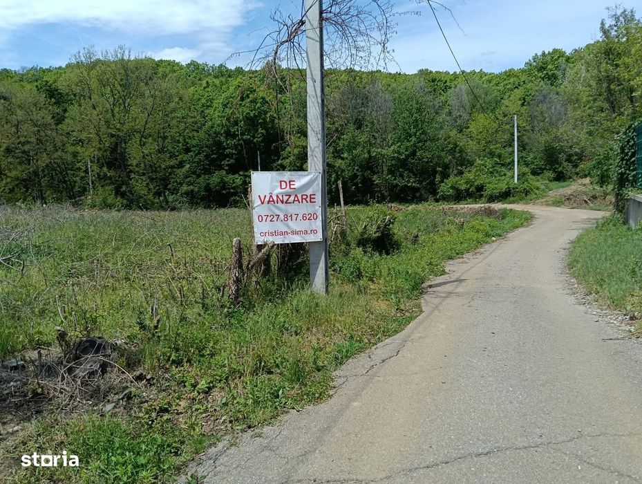 intravilan Tiparesti, relaxare aproape de padure