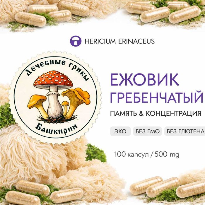 Ежовик гребенчатый Премиум Башкирия | Плоды, мицелий и капсулы