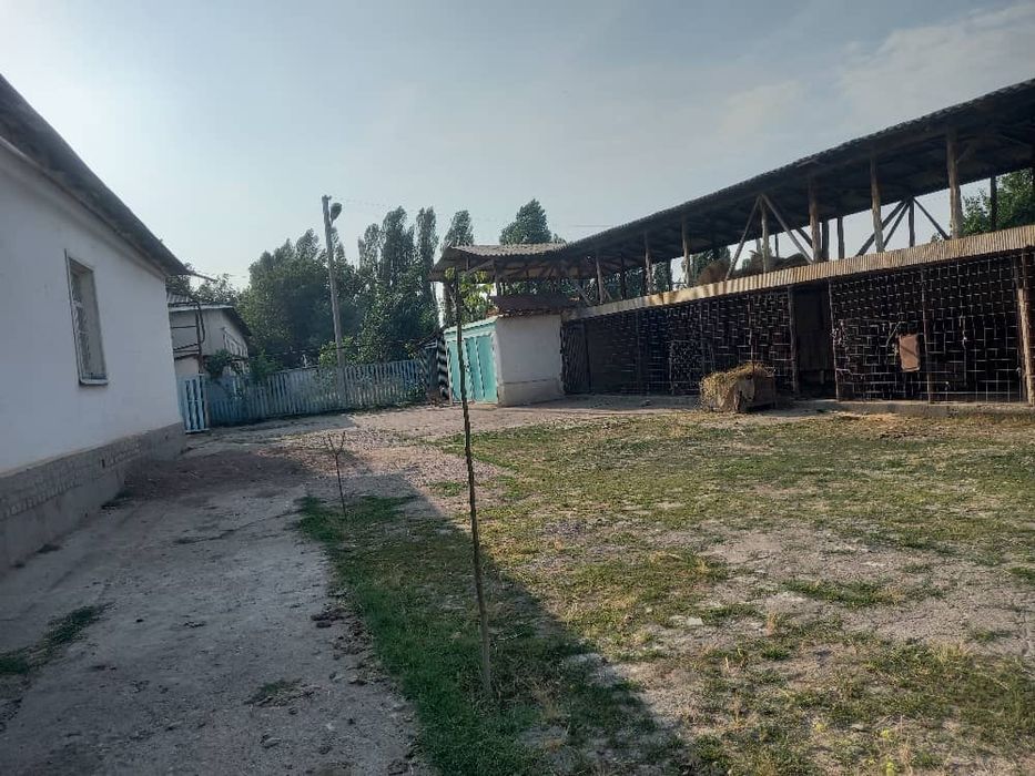 Ховли жой сотилади