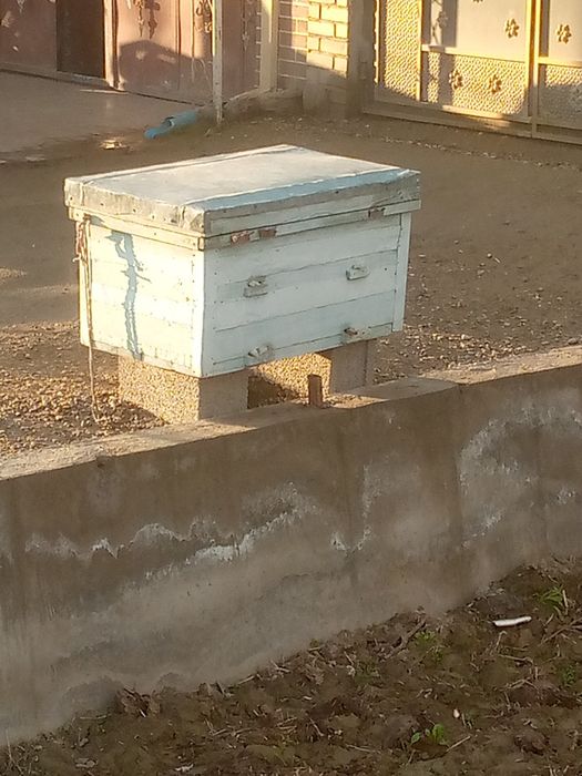 Ikta yashik sotiladi