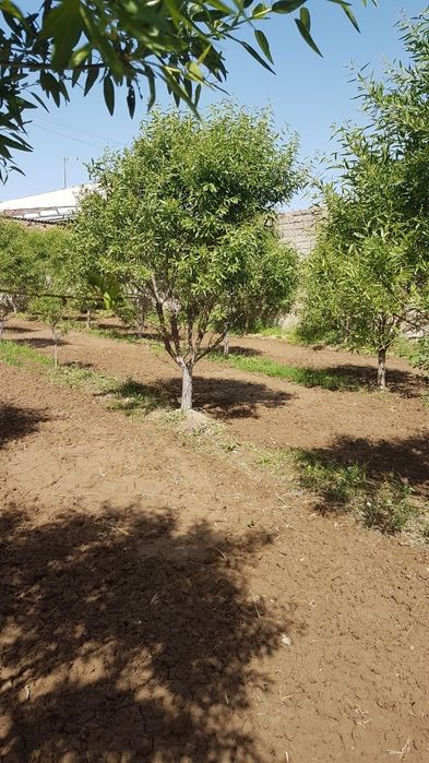 Участка сотилади