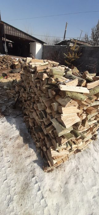 Дрова Алматы и область