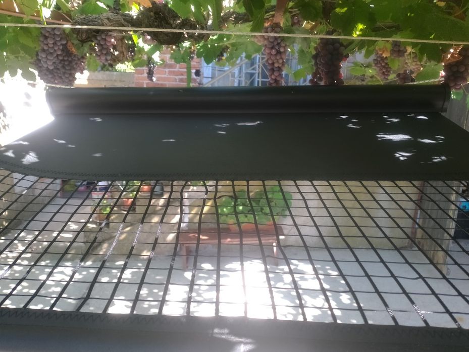 Щора за домашни любимци