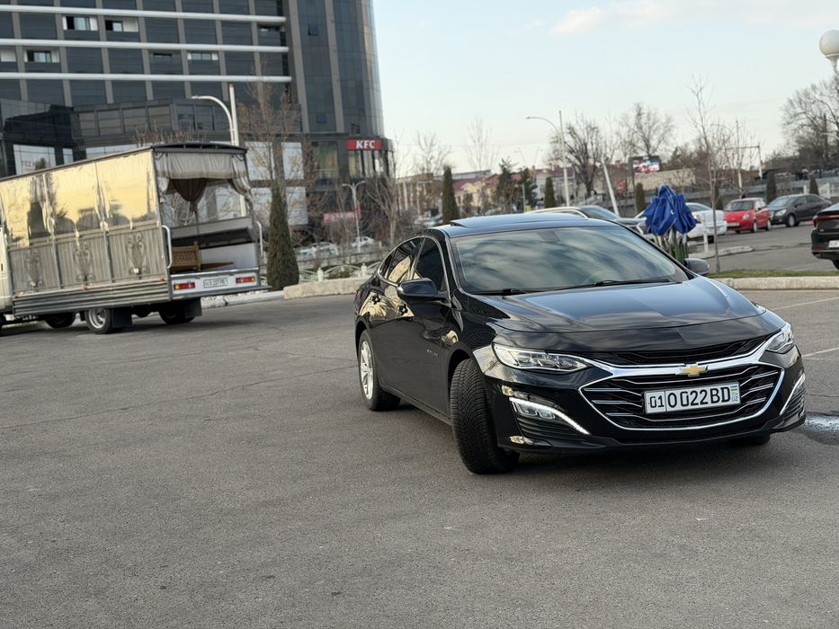 malibu primyer qilingan