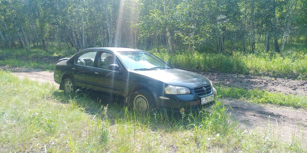 Ниссан максима v3