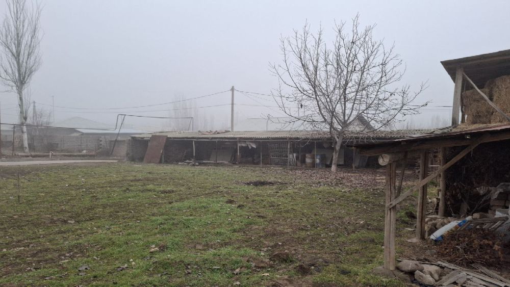 Yer sotiladi 5 sotix