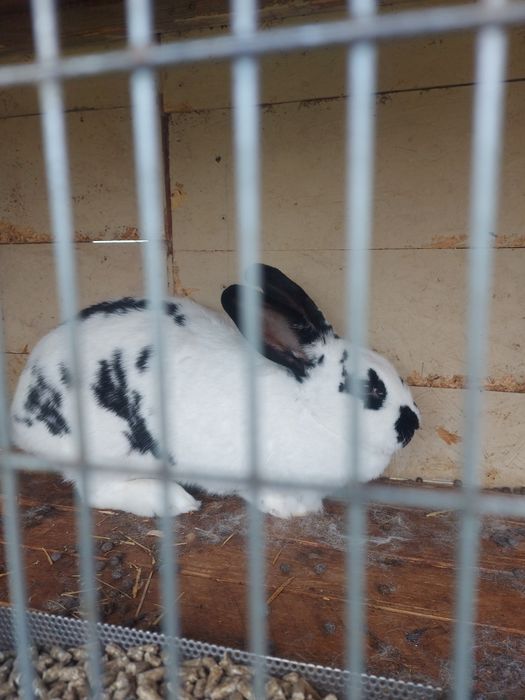 Заикиня на 9 месеца