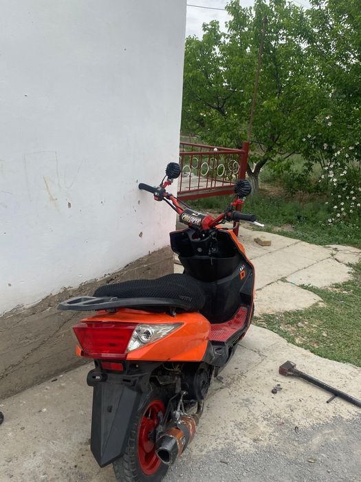 Легенда Red panda прошка сатылады