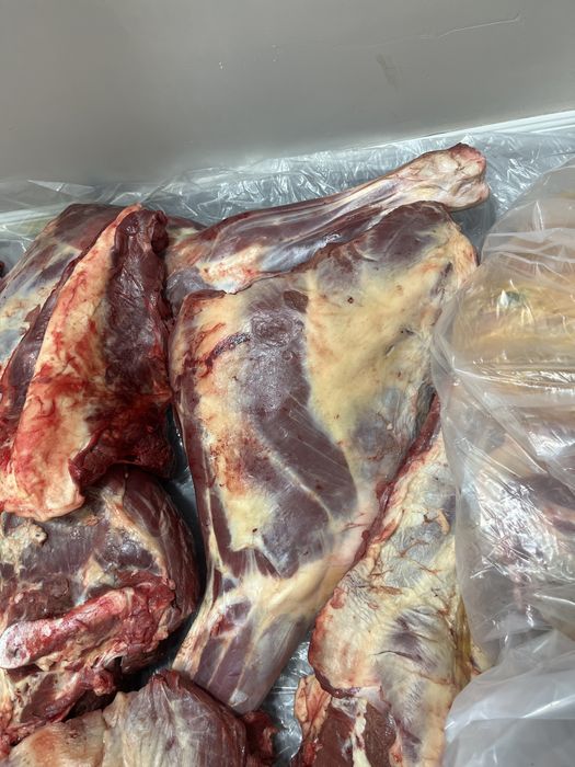 Соғым * Жабағы *