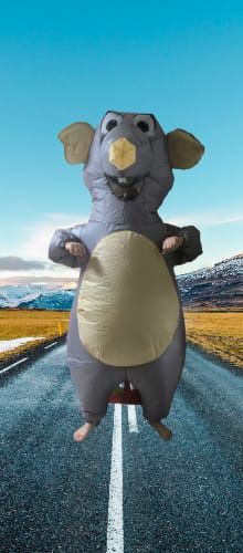 Сдам напрокат костюм крысы!