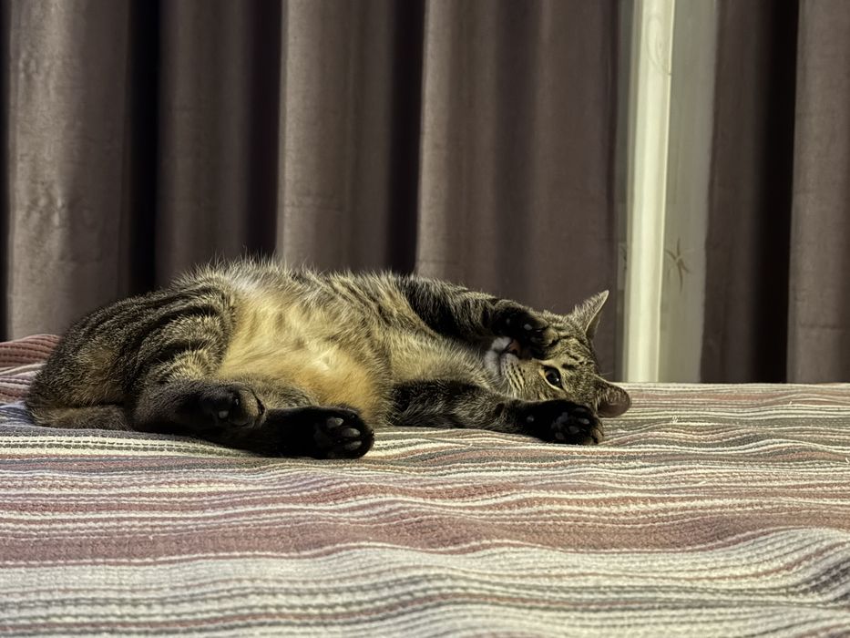 Edgar își caută o familie iubitoare