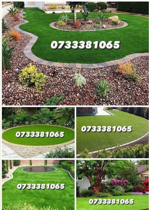 Gazon Si Plante ornamentale